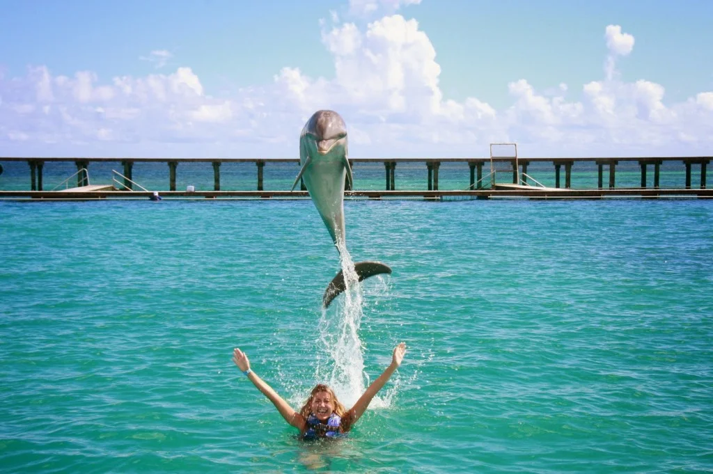 Swim with dolphins — Dolphins Explore, Punta Cana