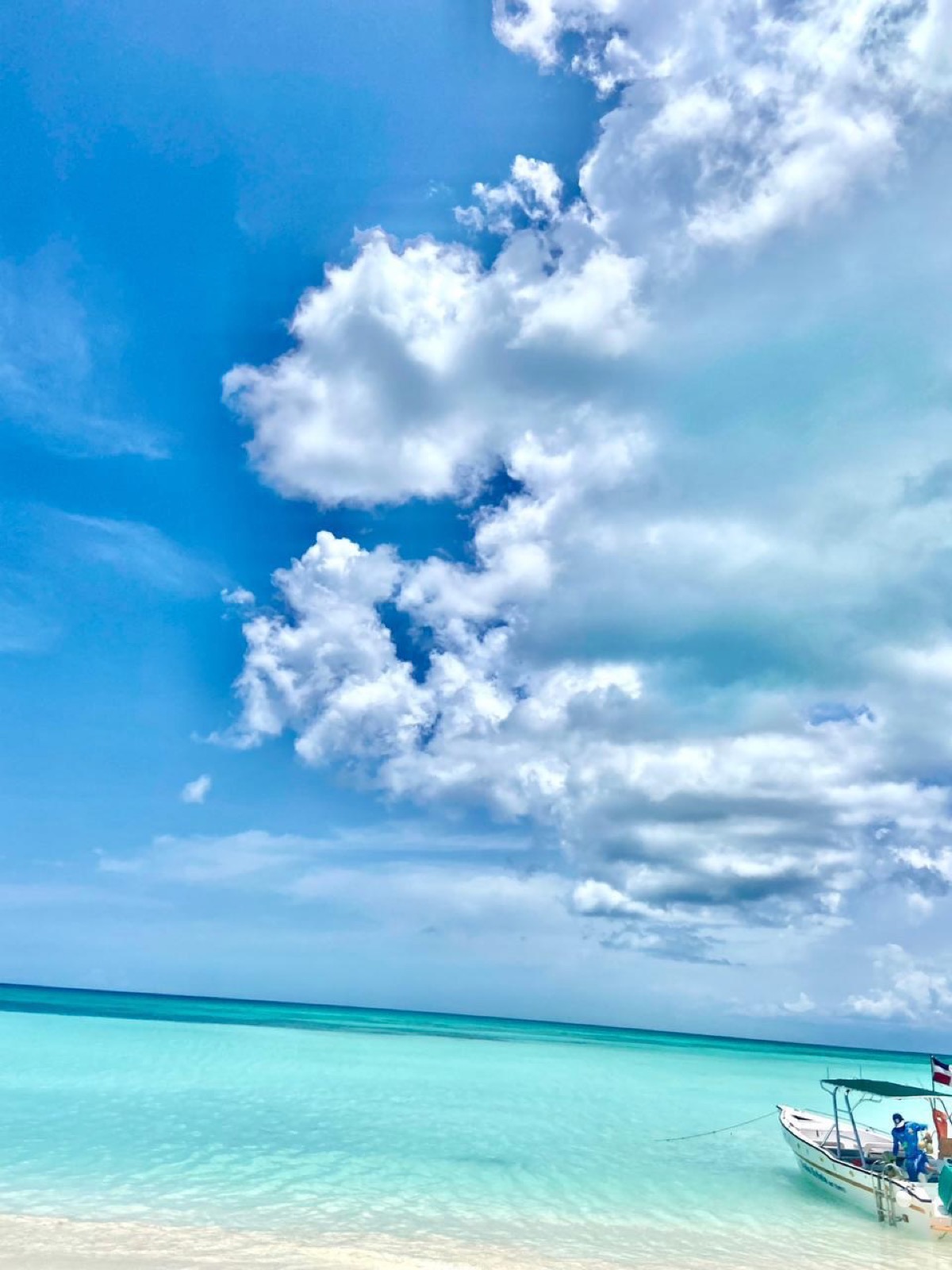 Caribbean shores