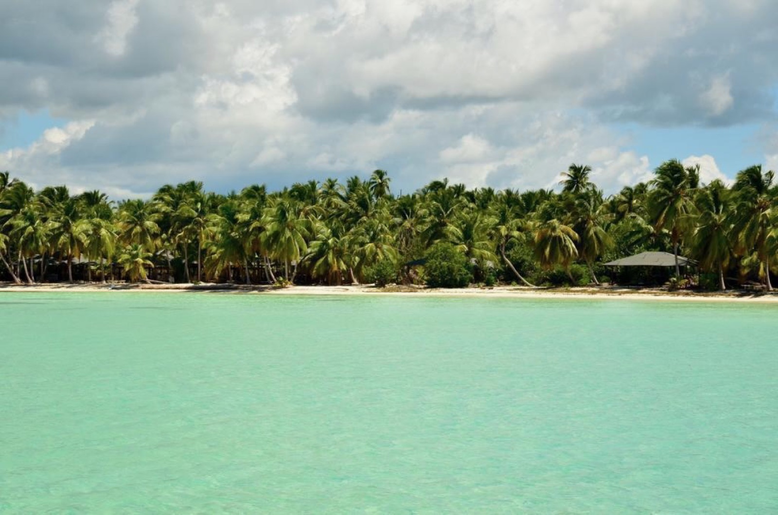 Saona beach