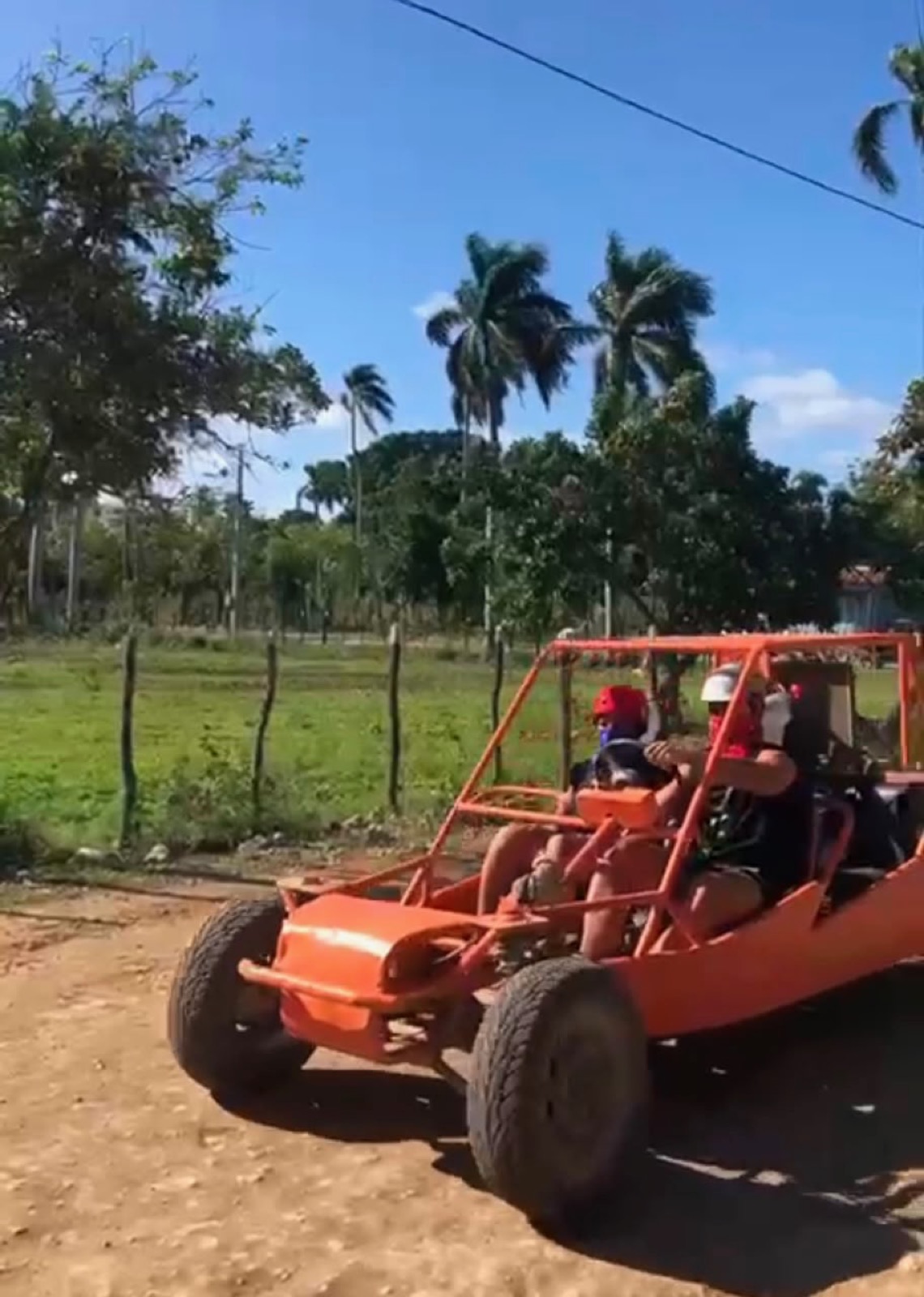 Family Buggies